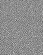 Black and White Organic Spot Pattern Rug