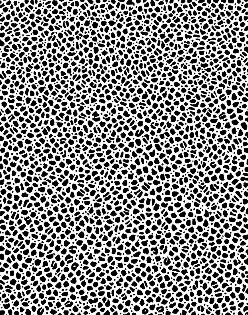 Black and White Organic Spot Pattern Rug
