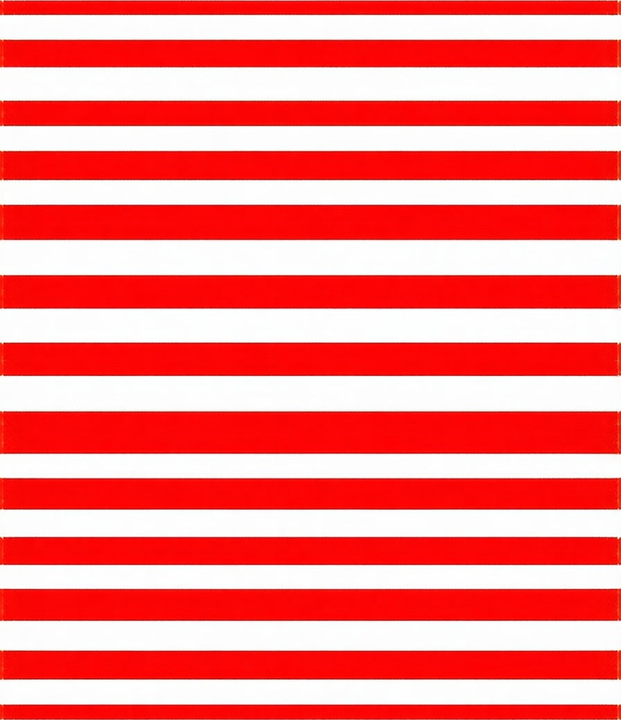 Bold Red White Stripe Pattern Rug
