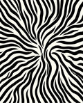 Bold Black And White Swirl Design Rug