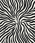 Bold Black And White Swirl Design Rug