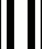 Bold Black White Stripe Design Rug