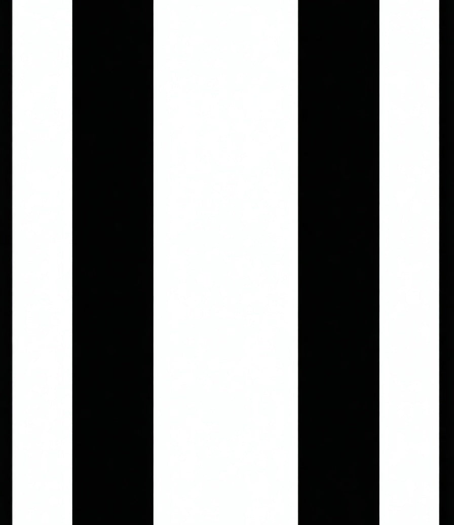Bold Black White Stripe Design Rug