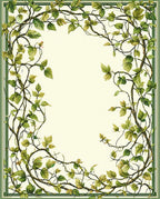 Vine and Leaf Border Design Rug