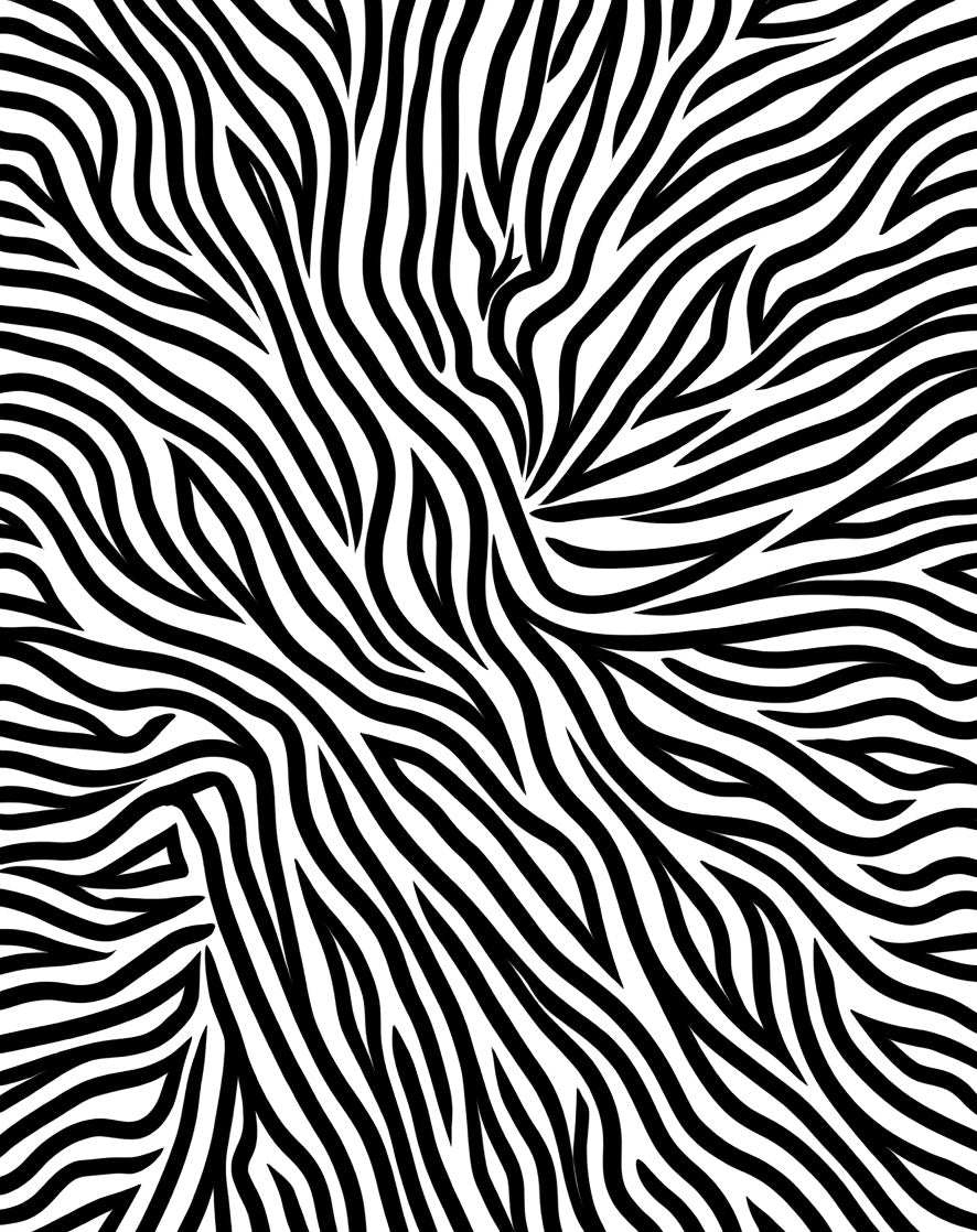 Bold Black and White Zebra Stripes Rug