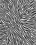 Bold Black and White Zebra Stripes Rug