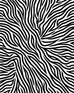 Bold Black and White Zebra Stripes Rug