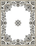 Ornate Black and Cream Scrollwork Border Rug