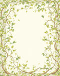 Delicate Vine And Leaf Border Design Rug
