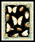 Nature Insects Butterflies Floral Border Rug