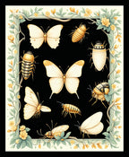 Nature Insects Butterflies Floral Border Rug