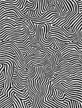 Bold Black White Abstract Lines Rug