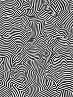 Bold Black White Abstract Lines Rug