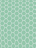Mint Green Hexagonal Lattice Rug