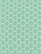 Mint Green Hexagonal Lattice Rug