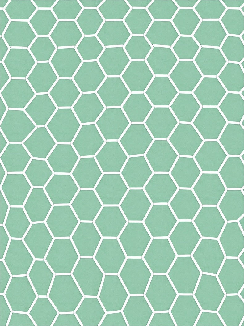 Mint Green Hexagonal Lattice Rug