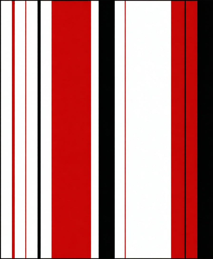 Bold Red Black White Stripe Pattern Rug