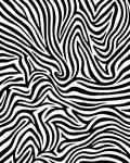 Bold Black and White Animal Print Rug