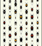 Insect Pattern With Red Yellow Accents Rug