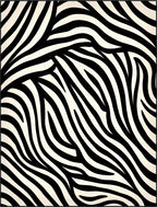 Bold Black And White Stripe Pattern Rug