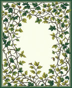 Vine and Leaf Border Design Rug