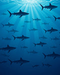 Oceanic Sharks Under Sunlight Rays Rug