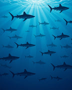 Oceanic Sharks Under Sunlight Rays Rug