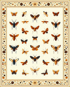 Ornate Butterfly Floral Border Design Rug