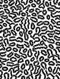 Organic Blob Pattern With Black White Rug