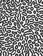 Organic Blob Pattern With Black White Rug