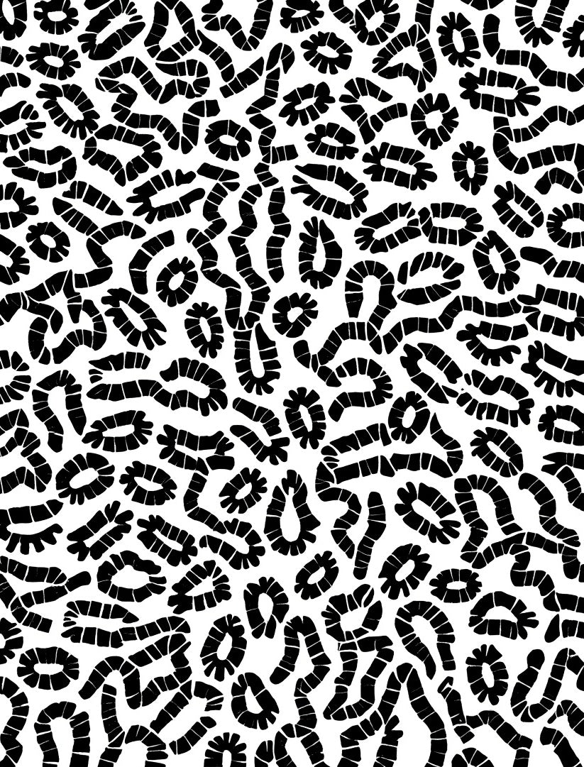 Organic Blob Pattern With Black White Rug
