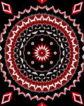 Crimson White Floral Mandala Black Rug