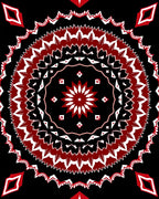 Crimson White Floral Mandala Black Rug