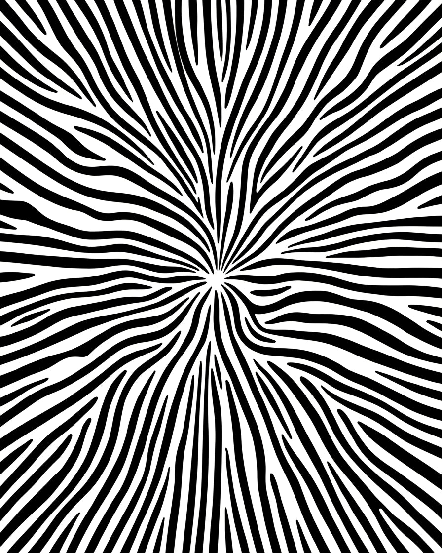 Bold Black White Abstract Lines Rug