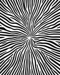 Bold Black White Abstract Lines Rug