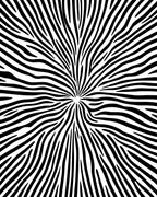 Bold Black White Abstract Lines Rug