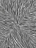 Bold Black White Swirl Pattern Rug