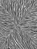 Bold Black White Swirl Pattern Rug