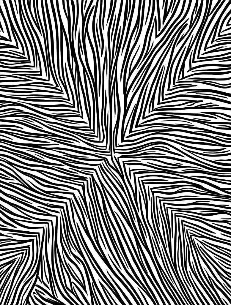 Bold Black White Swirl Pattern Rug