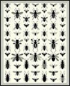 Insect Collection Vintage Style Pattern Rug