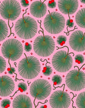 Pink Green Fan Berry Whimsical Nature Rug