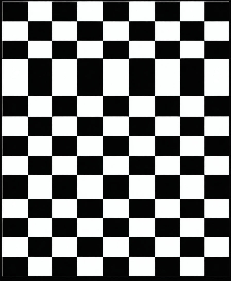 Bold Black White Checkered Pattern Rug