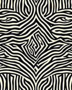 Bold Zebra Stripe Abstract Design Rug