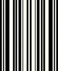 Bold Black White Stripe Pattern Rug