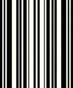 Bold Black White Stripe Pattern Rug