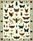 Vintage Insect Collection Pattern Design Rug