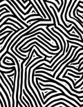 Bold Black White Maze Pattern Rug