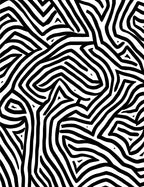 Bold Black White Maze Pattern Rug