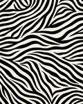 Bold Black White Animal Print Rug