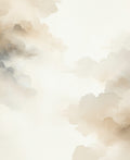Soft Wash Cloudscape Abstract Design Rug